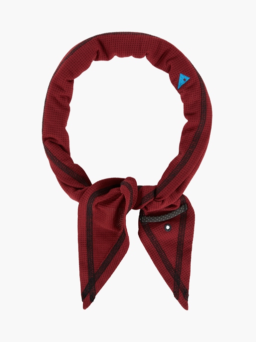 10385 - Allvis Scarf - Ruby Red